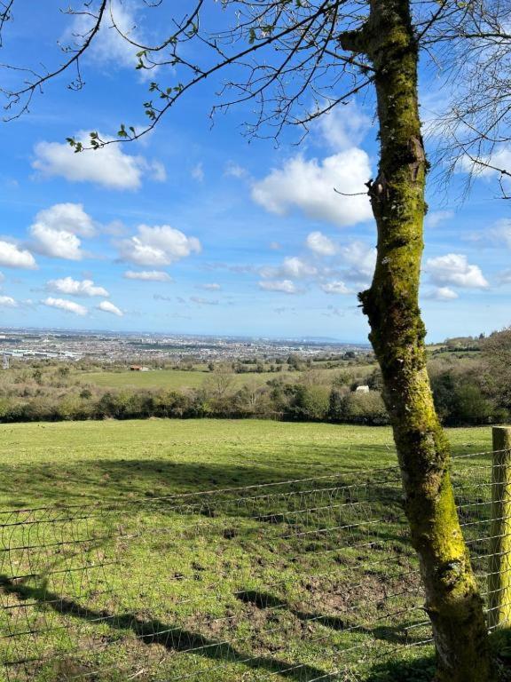 Sky Gazer Cabin In The Woods Dublin Ngoại thất bức ảnh