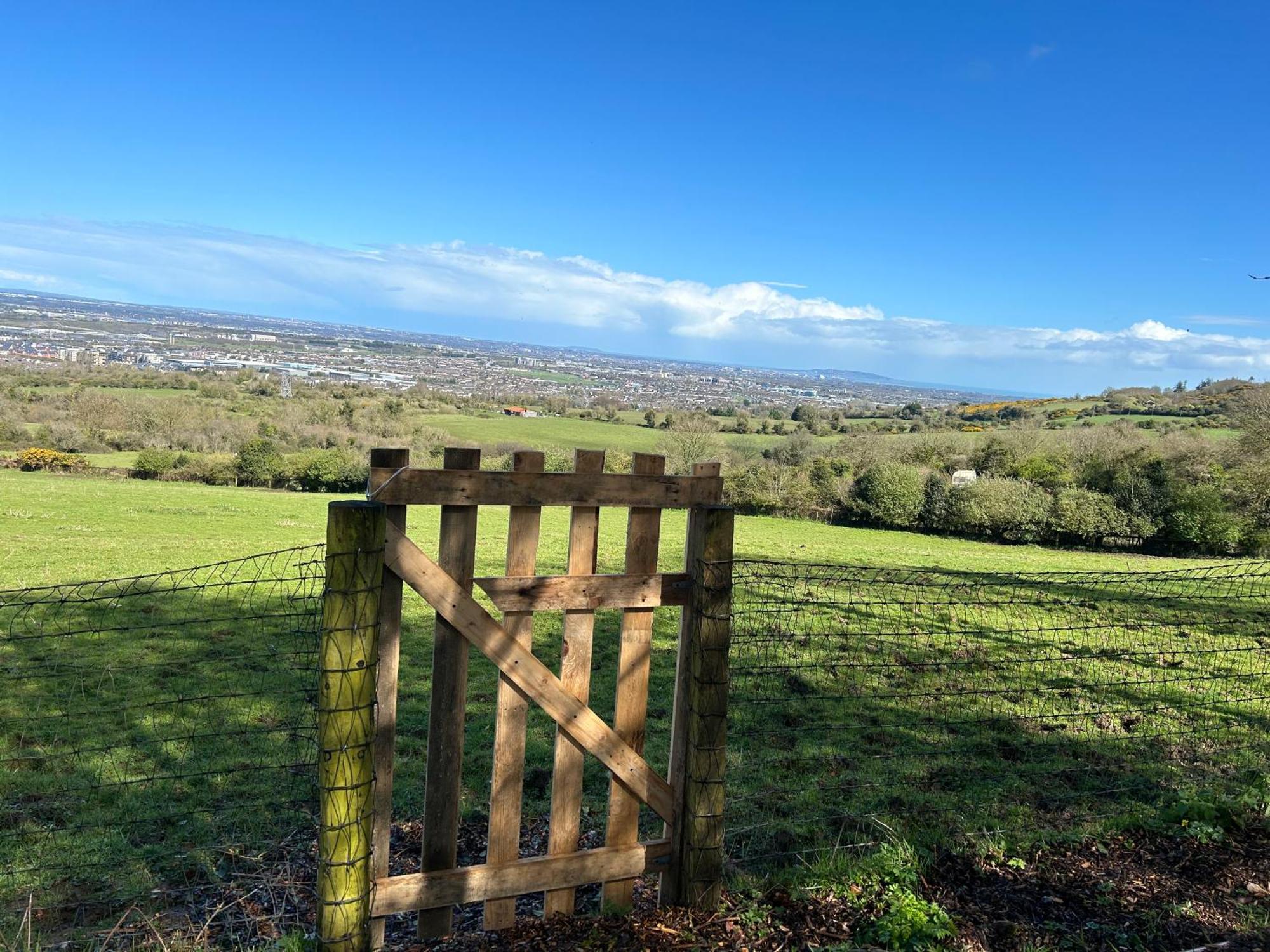 Sky Gazer Cabin In The Woods Dublin Ngoại thất bức ảnh