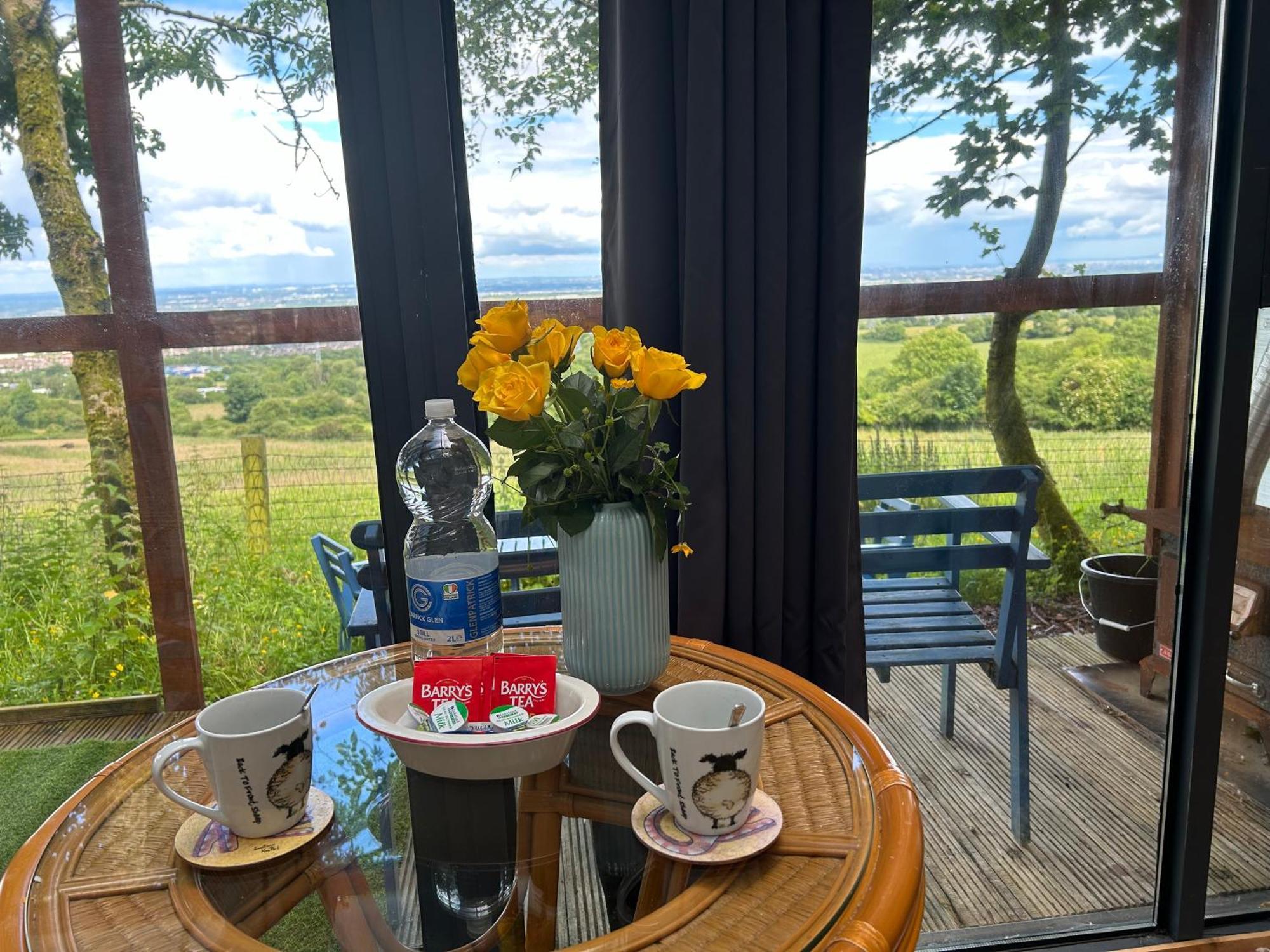 Sky Gazer Cabin In The Woods Dublin Ngoại thất bức ảnh