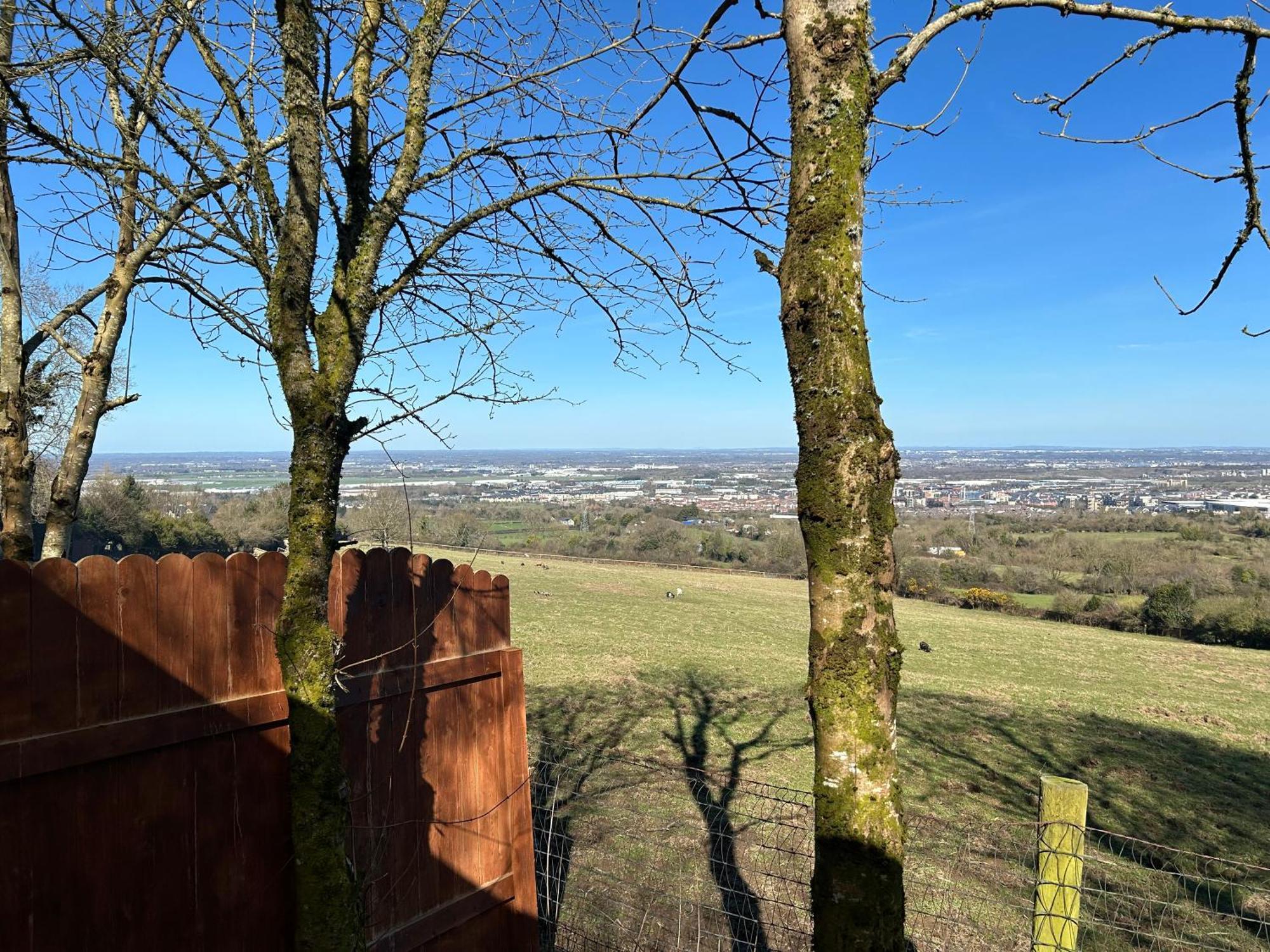 Sky Gazer Cabin In The Woods Dublin Ngoại thất bức ảnh