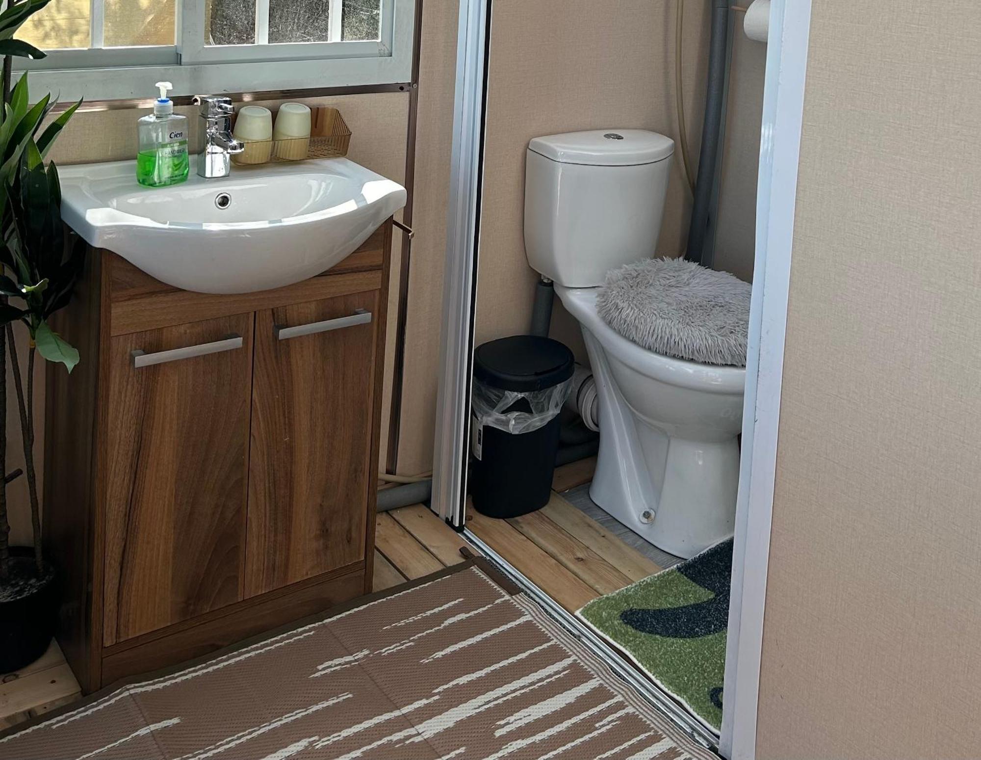 Sky Gazer Cabin In The Woods Dublin Ngoại thất bức ảnh