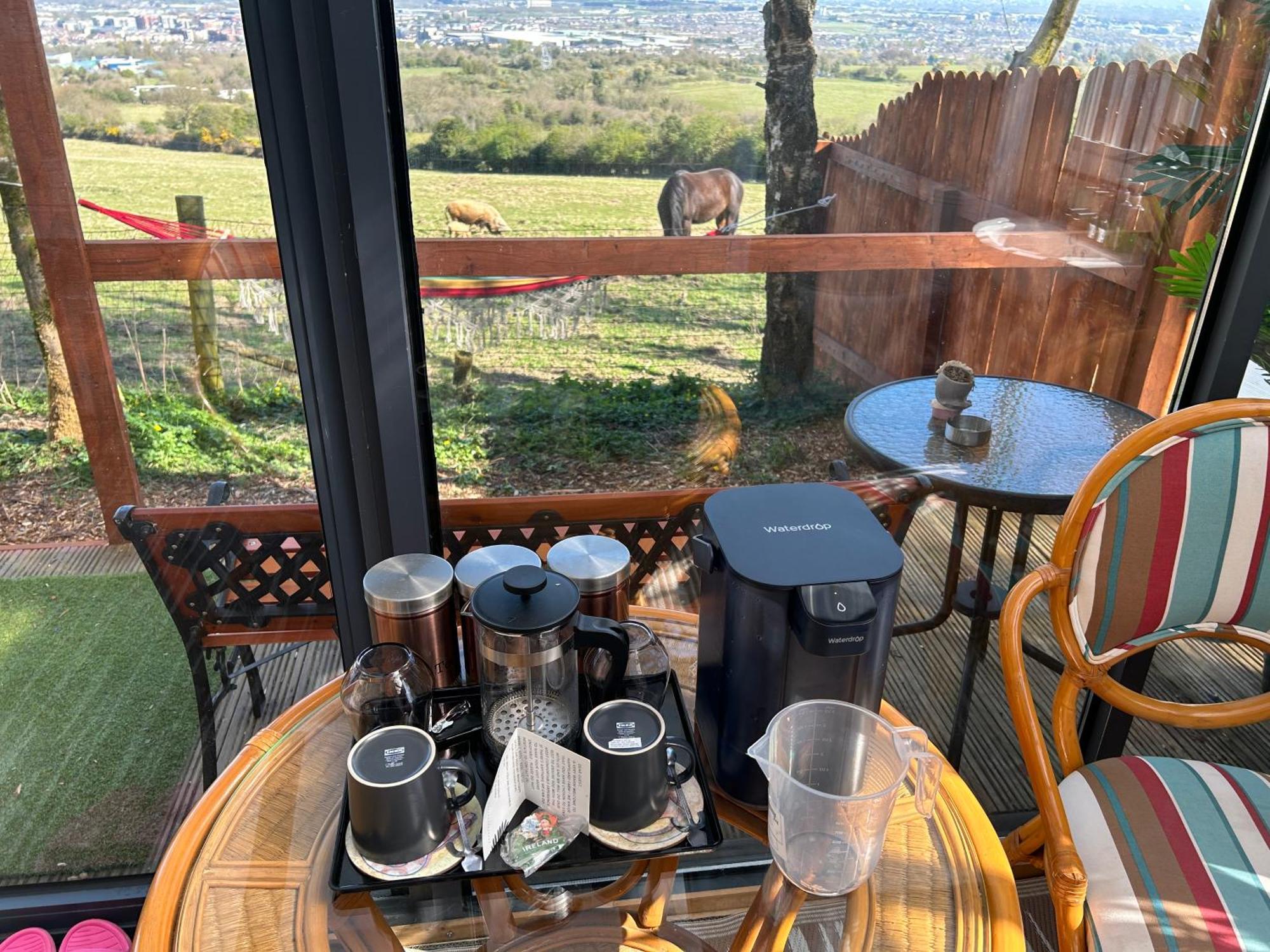 Sky Gazer Cabin In The Woods Dublin Ngoại thất bức ảnh